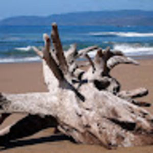 Meet your Posher, Maureen